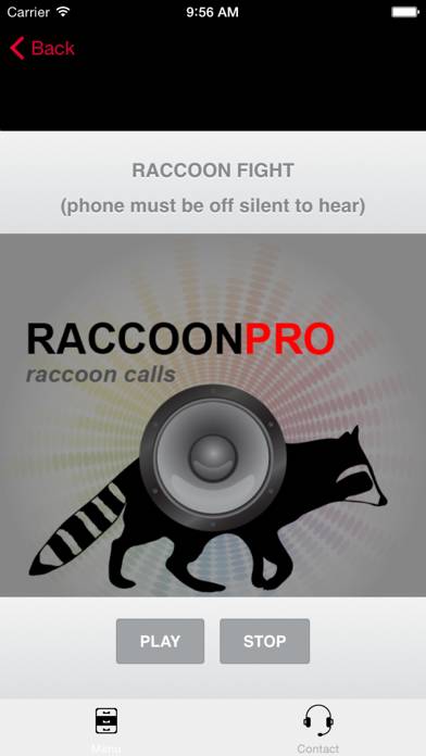 Raccoon Calls App screenshot #2