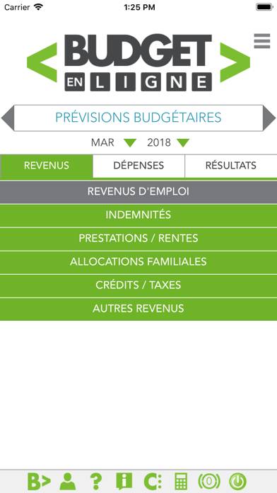 Budget en ligne App screenshot #1