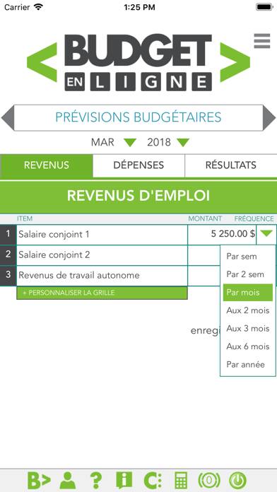 Budget en ligne screenshot