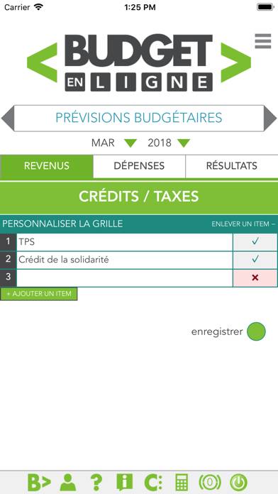 Budget en ligne Capture d'écran de l'application #3