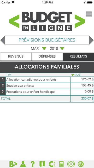 Budget en ligne Capture d'écran de l'application #4