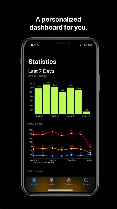 Health Auto Export - JSON+CSV capture d'écran