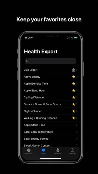 Health Auto Export Schermata dell'app #4