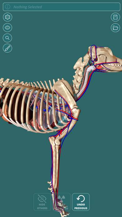 Visual Anatomy App skärmdump