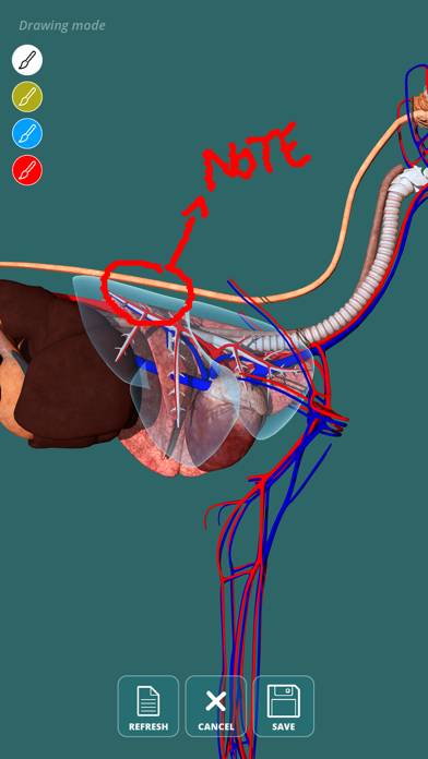 Visual Anatomy App skärmdump