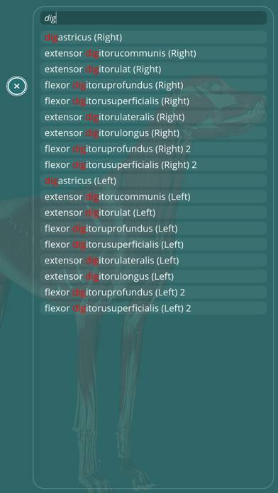 Visual Anatomy App skärmdump