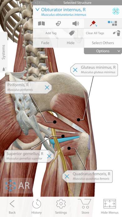 Human Anatomy Atlas 2024 App skärmdump #2