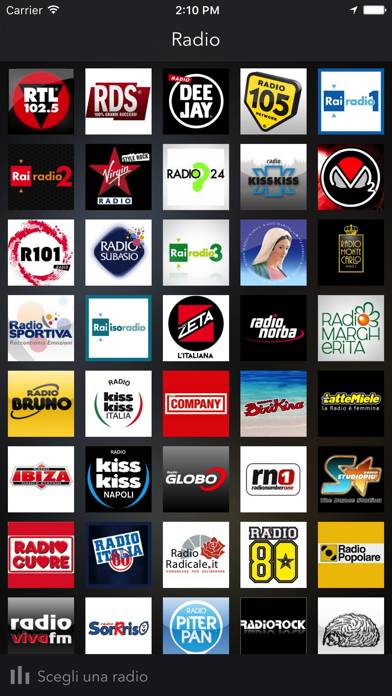 Radio FM Schermata dell'app #1