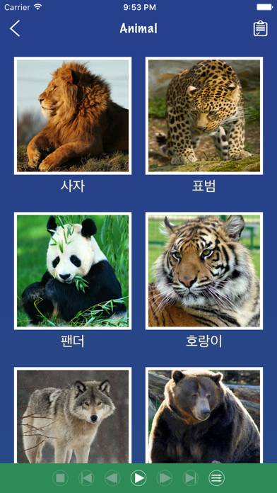 Korean Word Flashcards Learn App skärmdump