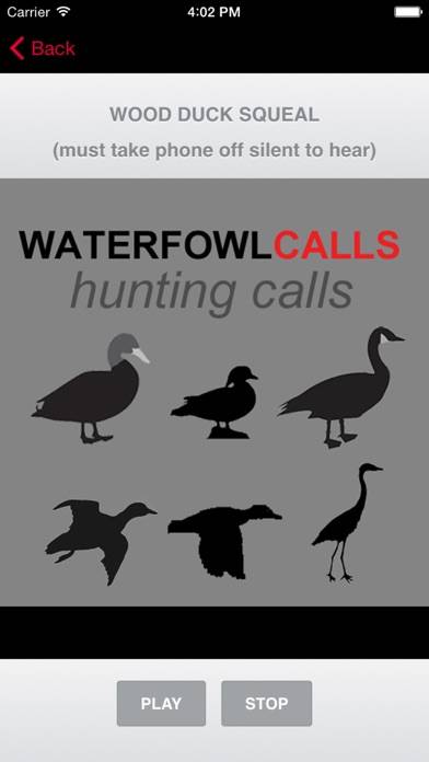 Waterfowl Hunting Calls App screenshot