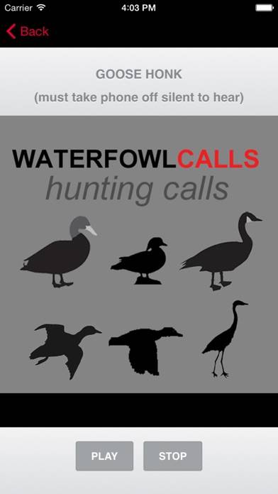 Waterfowl Hunting Calls App screenshot