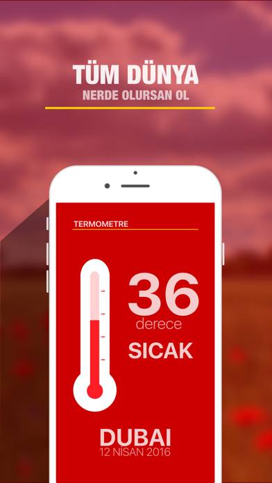 Termometre ℃ App screenshot #3