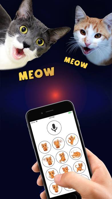 Human to Cat Translator Скриншот приложения #1