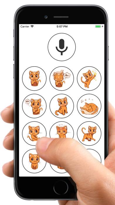 Human to Cat Translator App-Screenshot #2