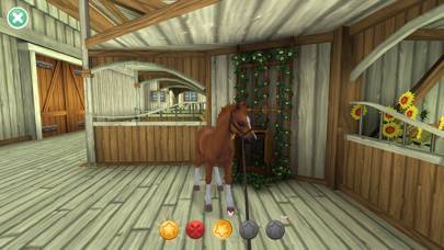 Star Stable Horses Spiel-Screenshot