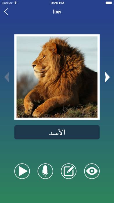 Arabic Word Flashcards Learn Capture d'écran de l'application #3