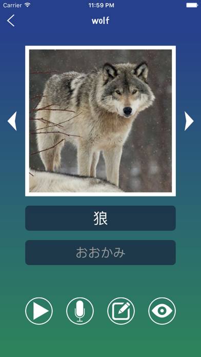 Japanese Word Flashcards Learn App screenshot #3