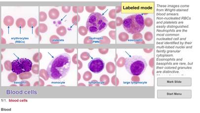 Histo! Capture d'écran de l'application
