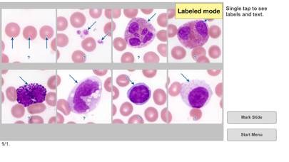 Histo! Capture d'écran de l'application