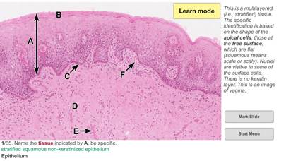 Histo! Capture d'écran de l'application