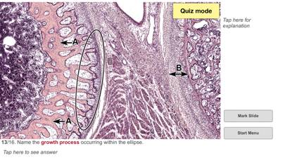 Histo! Capture d'écran de l'application