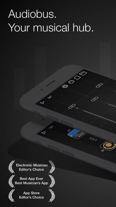 Audiobus: Mixer for music apps App-Screenshot #1