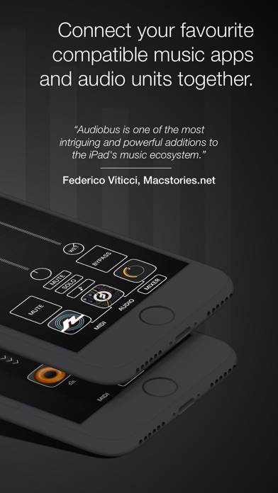Audiobus: Mixer for music apps App screenshot #2