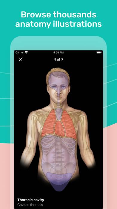 Easy Anatomy 3D Скриншот приложения #2