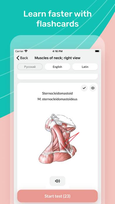 Easy Anatomy 3D Скриншот приложения #3