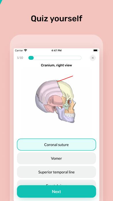 Easy Anatomy 3D App screenshot #4