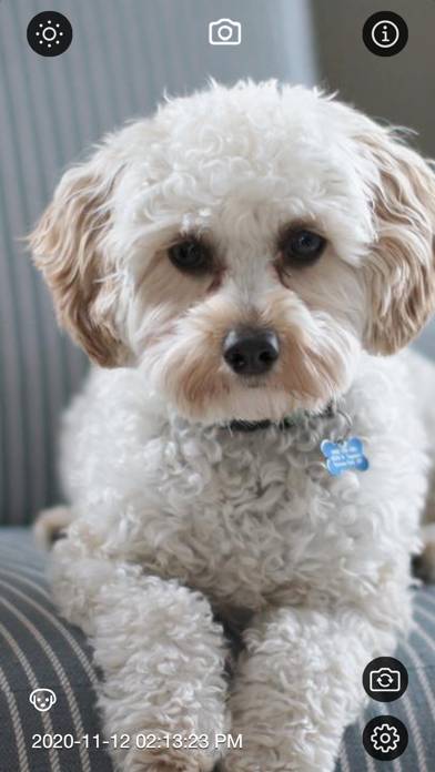 Motion Detector Camera Capture d'écran de l'application