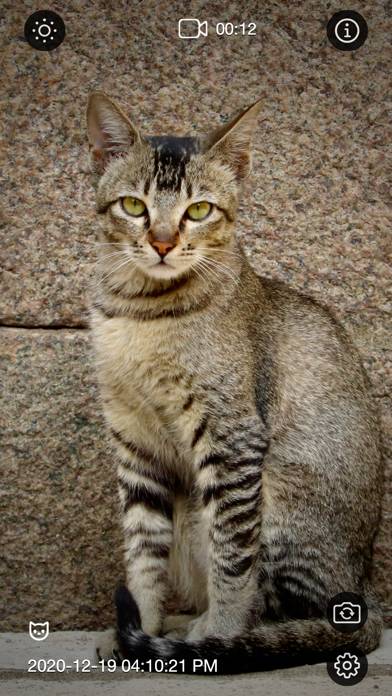 Motion Detector Camera Capture d'écran de l'application