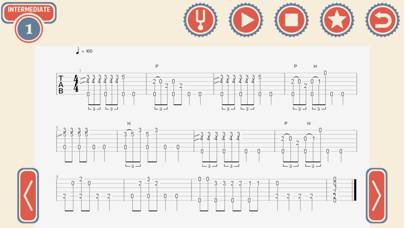20 Acoustic Blues Guitar Solos Capture d'écran de l'application #1