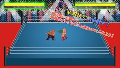 プロレスゴング game screenshot