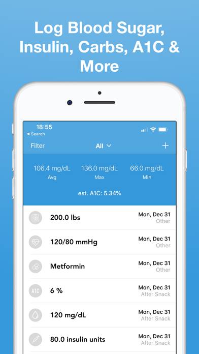 Glucose Blood Sugar Tracker Schermata dell'app #2