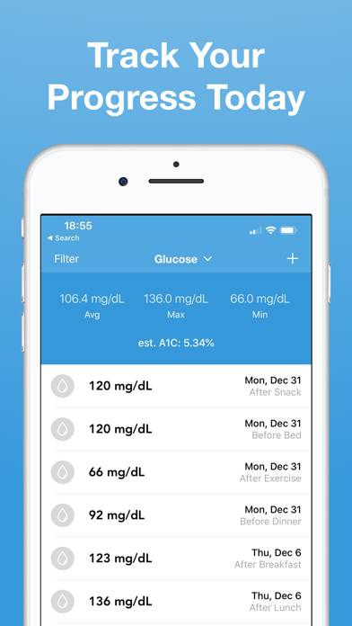 Glucose Blood Sugar Tracker App screenshot #5