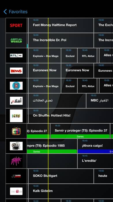 IPTV Streamer Pro App screenshot #5