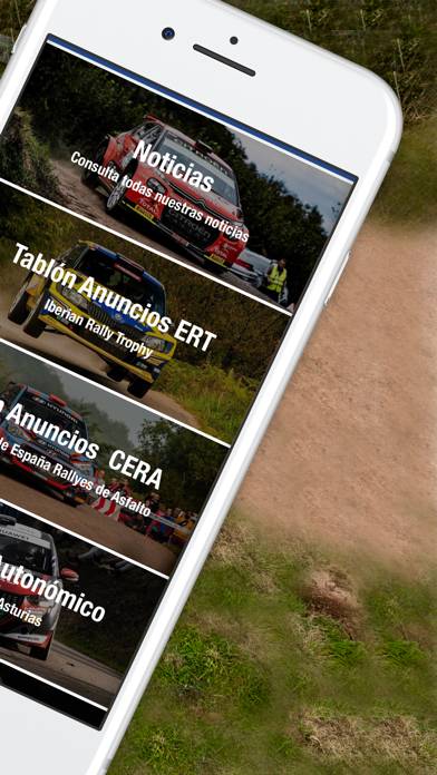 Rally Princesa de Asturias captura de pantalla