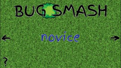 -Bug Smash-