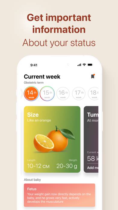 Pregnancy and Due Date Tracker Captura de pantalla de la aplicación #2