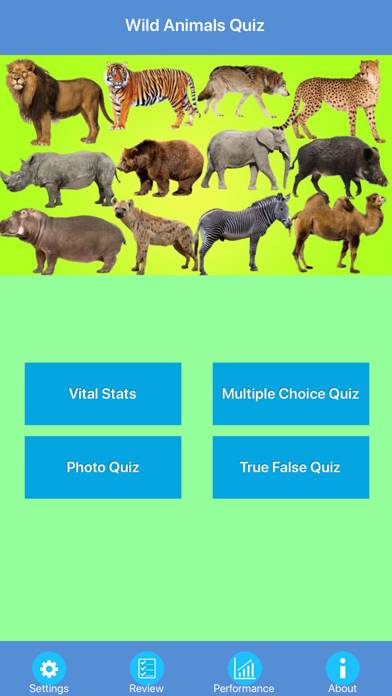 Wild Animals Quiz App screenshot #1