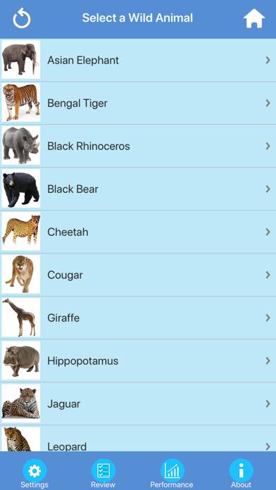 Wild Animals Quiz screenshot