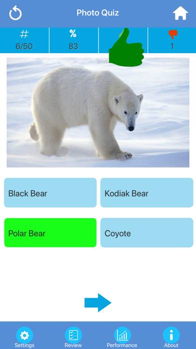 Wild Animals Quiz App screenshot #4