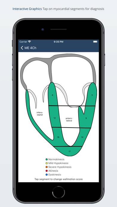 TEE Report App Schermata dell'app