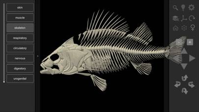 3D Fish Anatomy Capture d'écran de l'application #2