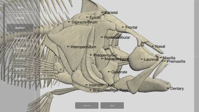 3D Fish Anatomy Capture d'écran de l'application #3