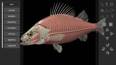 3D Fish Anatomy Capture d'écran de l'application #4