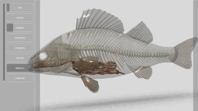 3D Fish Anatomy App screenshot #5