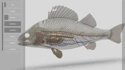 3D Fish Anatomy Capture d'écran de l'application #6
