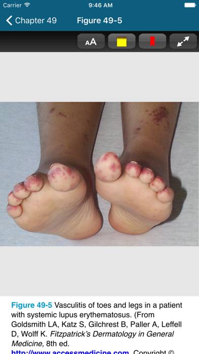 The Atlas of Physical Therapy App skärmdump